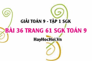 Giải bài 36 trang 61 SGK Toán 9 tập 1